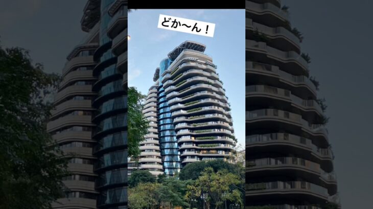 シニア台湾旅行