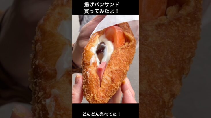 シニア台湾旅行