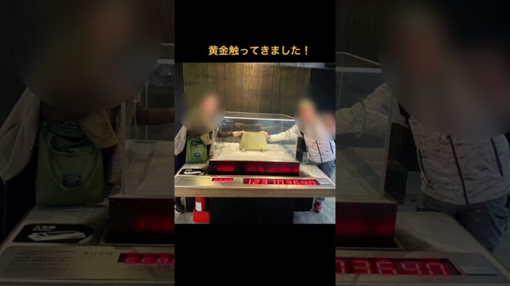 シニア台湾旅行