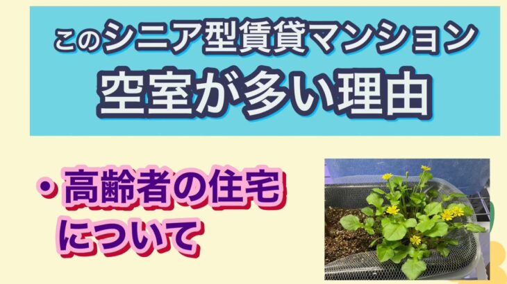 【シニアライフ】今住んでいるシニア型賃貸マンションに空室が多い理由を考えてみた。