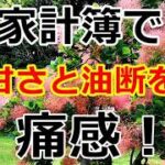 【シニアライフ】のらりくらり年金生活　家計簿の見直しで甘さと油断を痛感！定番の昼ご飯【のらりくらり年金生活チャンネル】