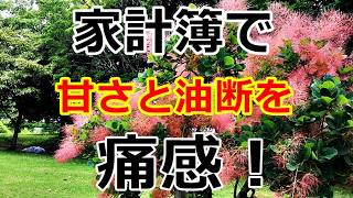 【シニアライフ】のらりくらり年金生活　家計簿の見直しで甘さと油断を痛感！定番の昼ご飯【のらりくらり年金生活チャンネル】