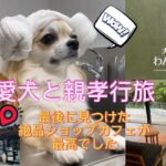 『愛犬チワワと親孝行旅✖︎那須塩原』最後に見つけた絶品神カフェショップが最高！