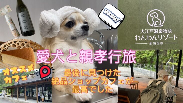 『愛犬チワワと親孝行旅✖︎那須塩原』最後に見つけた絶品神カフェショップが最高！