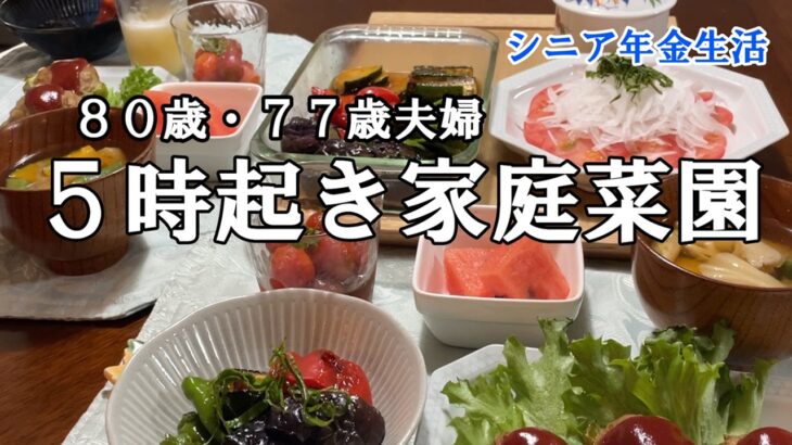 【yuuの家事ライフ】シニア年金生活、８０歳７７歳夫婦、５時起き家庭菜園