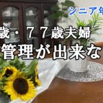 【yuuの家事ライフ】シニア年金生活、８０歳７７歳夫婦、健康管理が出来ない夫