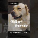今知りたい暮らしの情報014　#shorts #年金 #犬 #老後 #シニア