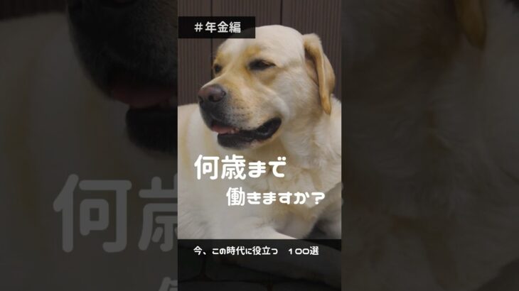 今知りたい暮らしの情報014　#shorts #年金 #犬 #老後 #シニア