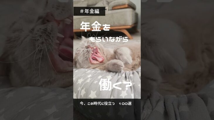 今知りたい暮らしの情報015　#shorts #年金 #猫  #老後 #シニア