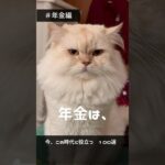 今知りたい暮らしの情報016　#shorts #年金 #猫  #老後 #シニア