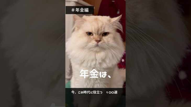 今知りたい暮らしの情報016　#shorts #年金 #猫  #老後 #シニア