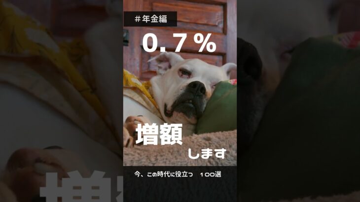 今知りたい暮らしの情報017　#shorts #年金 #犬 #老後 #シニア