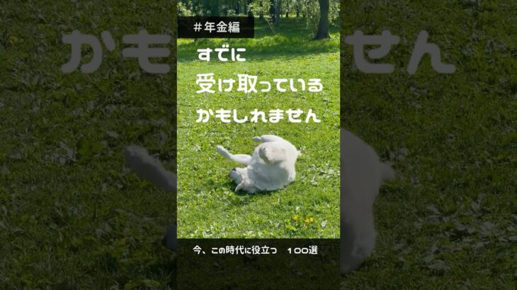 今知りたい暮らしの情報019　#shorts #年金 #犬   #老後 #シニア #給付金 #振込 #通帳