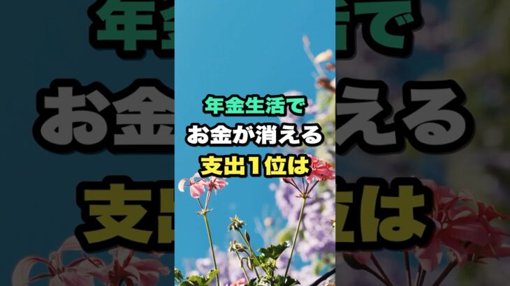 年金生活でお金が消える支出1位は  #雑学 #シニア #50代 #60代 #70代