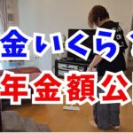 制度改正の内容は？｜「年金増えるから絶対申請して」って、ほんと？ #172