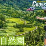 【シニア夫婦の夏の高原クルマ旅②】標高1900mの絶景「栂池自然園」散策