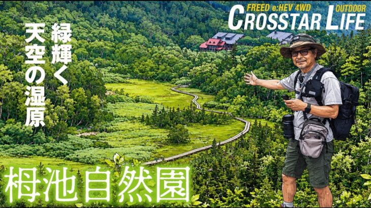 【シニア夫婦の夏の高原クルマ旅②】標高1900mの絶景「栂池自然園」散策
