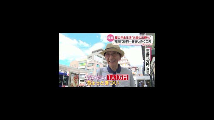 【年金生活】“働かないと無理”炎天下で働くシニア　「一人1万円」お盆ならではの“キツい”出費も…暑さしのぐ工夫で電気代節約『every.気になる！』