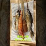 シニアグルメ2人旅【亀の井ホテル 日光湯西川 オールインクルーシブホテル】オールインクルーシブホテルを楽しむ！Shots