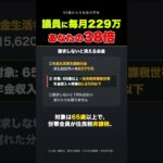 国会議員は毎月229万円 あなたの年金は5万9千円 怒る前に取り返してください #shorts