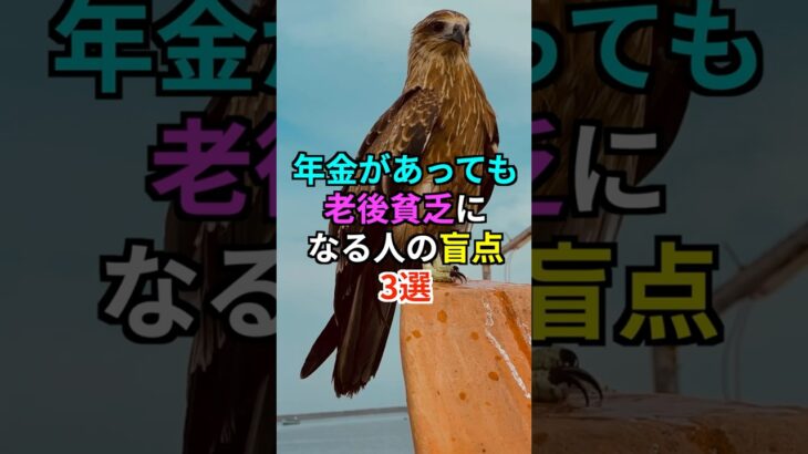 年金があっても老後貧乏になる人の盲点3選　#知恵 #名言 #雑学 #開運