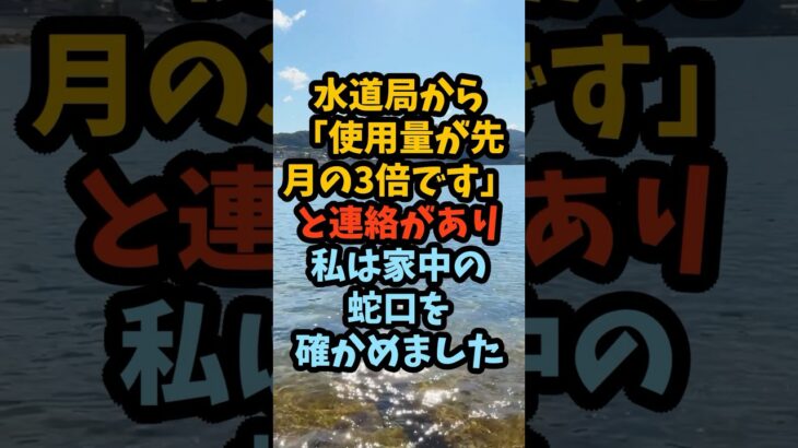 水道代が3倍、亡き父の庭の蛇口から隣の温室へ伸びていた黒い管#シニア #年金生活 #老後