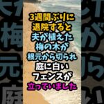 3週間の入院後に消えた庭の梅の木、息子夫婦が広げた駐車場#シニア #年金生活 #老後