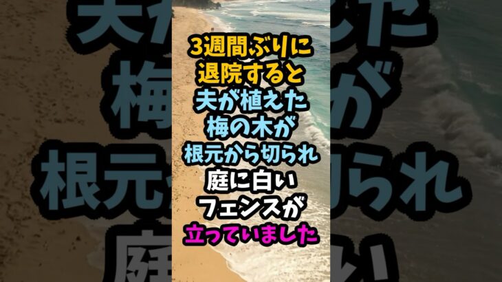 3週間の入院後に消えた庭の梅の木、息子夫婦が広げた駐車場#シニア #年金生活 #老後