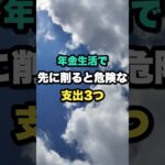 年金生活で先に削ると危険な支出3つ #年金生活 #家計管理 #雑学 #シニア #シニアライフ