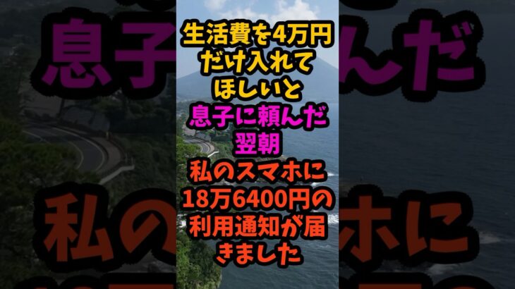 36歳の息子に生活費4万円を頼んだ翌朝、カードに18万円の利用通知#シニア #年金生活 #老後