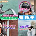 定期的に訪れるハプニング！？3日目【モルディブ旅行:vol.4】 #シニア旅 #maldives #海外旅行