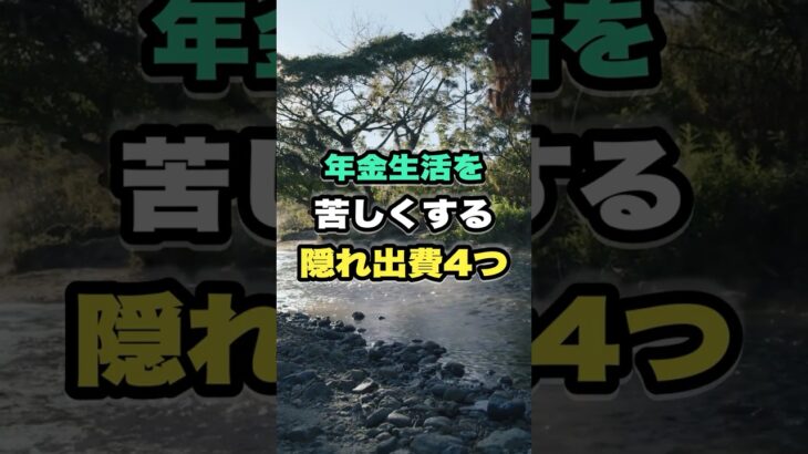 年金生活を苦しくする隠れ出費4つ #シニア #雑学 #50代 #60代 #70代