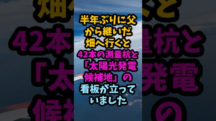 父から継いだ畑に42本の測量杭、兄が進めた太陽光発電#シニア #年金生活 #老後