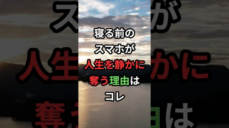 寝る前のスマホが人生を静かに奪う理由はコレ#シニア #60代 #老後#目雑学