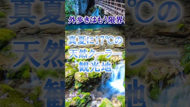 【避暑地】60代が今行くべき避暑地旅行・秋芳洞#60代旅行 60代女性 #シニア旅行#ひとり旅 #shorts #夏旅行 #熱中症   #観光  #ひとり旅 #観光 #秋芳洞 #国内旅行 #避暑地