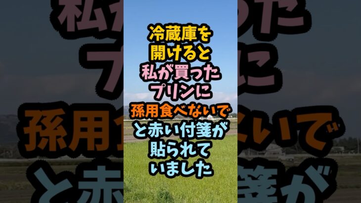 70歳の母の冷蔵庫に「食べるな」娘が管理していた年金生活#シニア #年金生活 #老後