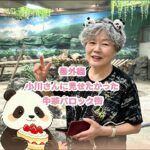 82歳、日本人女性の中国一人旅【ハルビン番外編】行けなかった中華バロック街