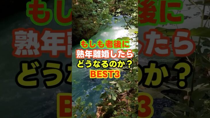 もしも老後に熟年離婚したらどうなるのか？BEST3 #熟年離婚 #老後　＃年金