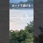 湖は神秘的な雰囲気#shorts #湖景 #河口湖 #シニア #60代 #60代主婦 #60代の暮らし #週末旅行 #らら #rara #日本 #国内旅行