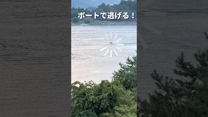 湖は神秘的な雰囲気#shorts #湖景 #河口湖 #シニア #60代 #60代主婦 #60代の暮らし #週末旅行 #らら #rara #日本 #国内旅行