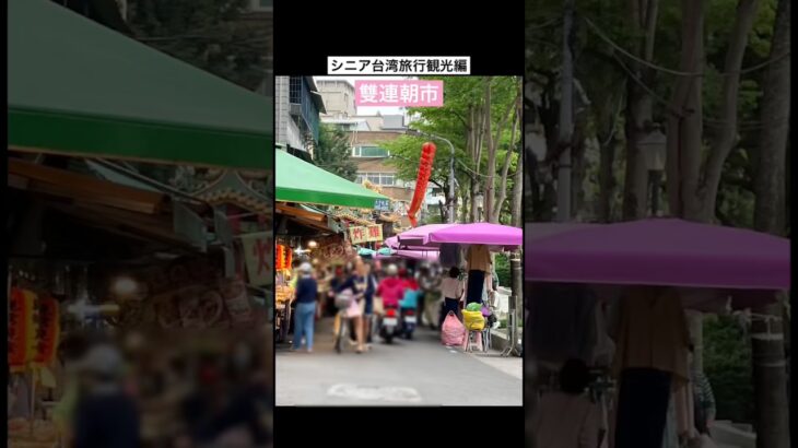 シニア台湾旅行