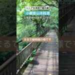 シニア台湾旅行