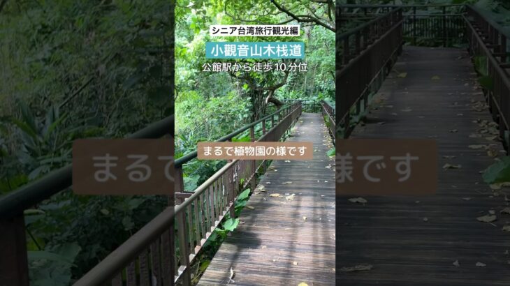 シニア台湾旅行