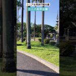 シニア台湾旅行