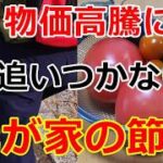 【シニアライフ】のらりくらり年金生活 　頑張っても物価高騰に追いつかない我が家の節約 【のらりくらり年金生活チャンネル】