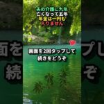 夫の介護に九年。亡くなって五年、遺族年金を一円も受け取っていませんでした