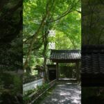 #京都#高雄#シニア旅#旅行