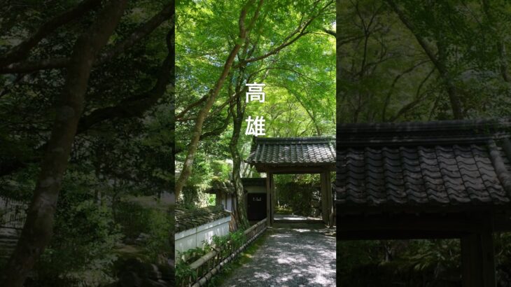 #京都#高雄#シニア旅#旅行