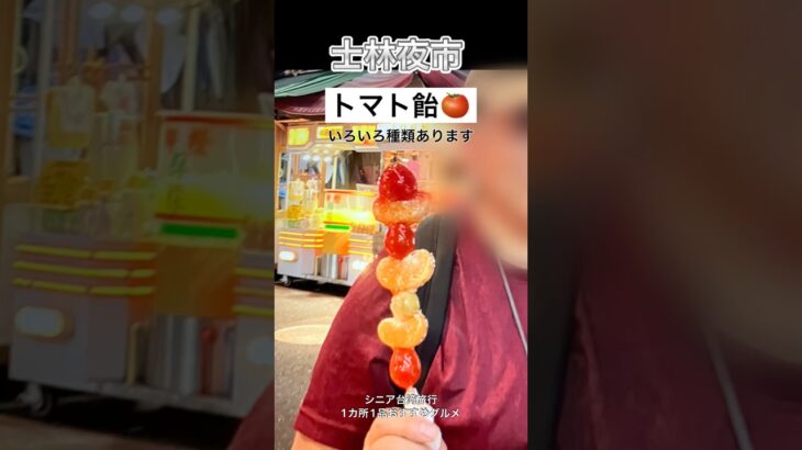 シニア台湾旅行
