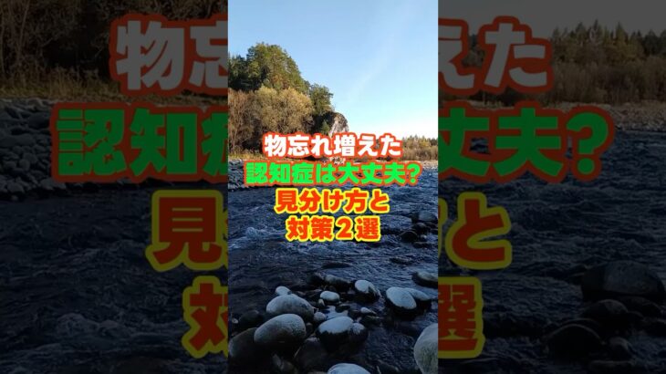 物忘れ増えた認知症は大丈夫?見分け方と対策２選　＃認知症